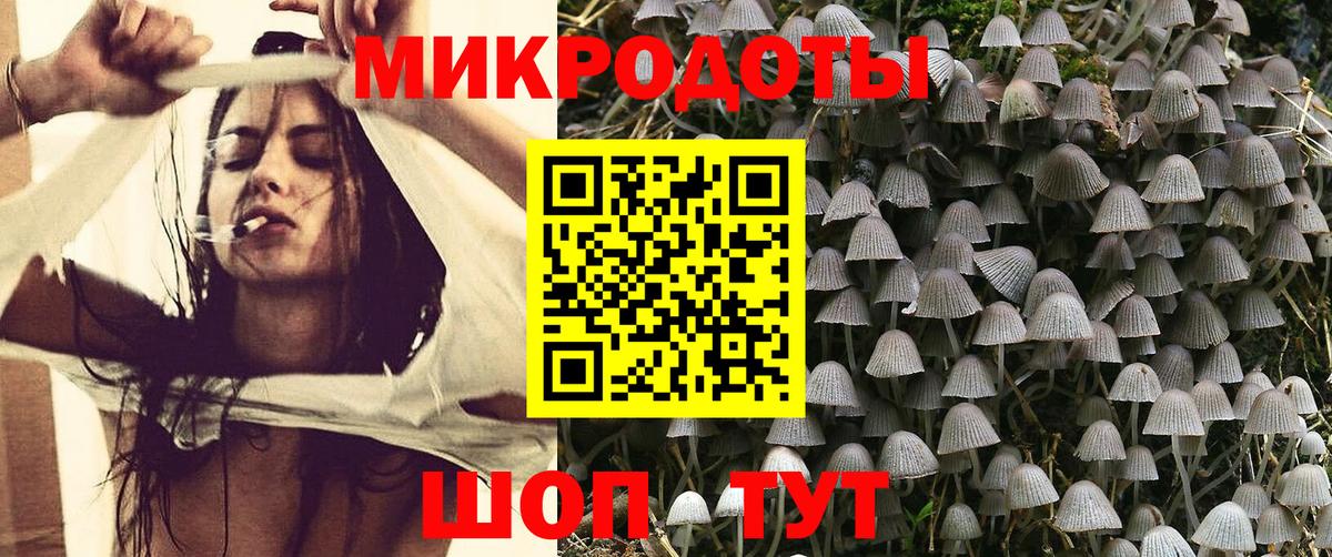 Галлюциногенные грибы Psilocybe  Вход с VPN  Дятьково 
